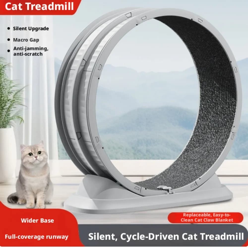 Roue de course silencieuse pour chat, grande taille, accessoires pour animaux de compagnie, rouleau d'exercice anti-pincement pour les pattes, rouleau de fitness, structure d'escalade pour chat, jouet