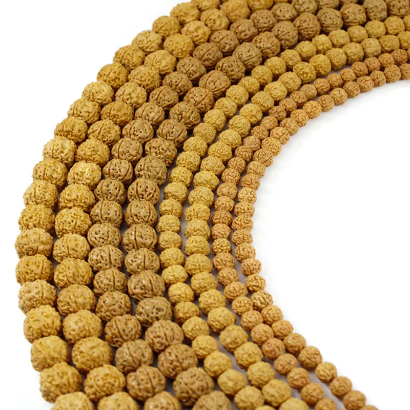 Rudraksha Mala-Perles Bouddhistes Naturelles de 6, 8, 10 et 12mm, Accessoires de Prière et de Médita