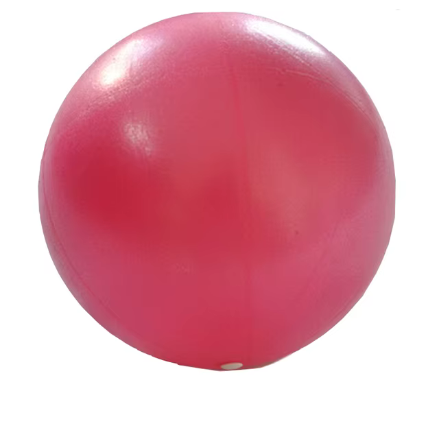 Nouveau 25cm balle de Yoga exercice gymnastique Fitness Pilates balle exercice d'équilibre gymnase F