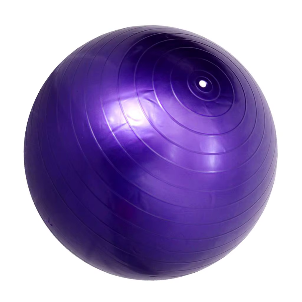 Balle de gymnastique (45/85 cm), balle de yoga épaisse, balle de stabilité résistante pour