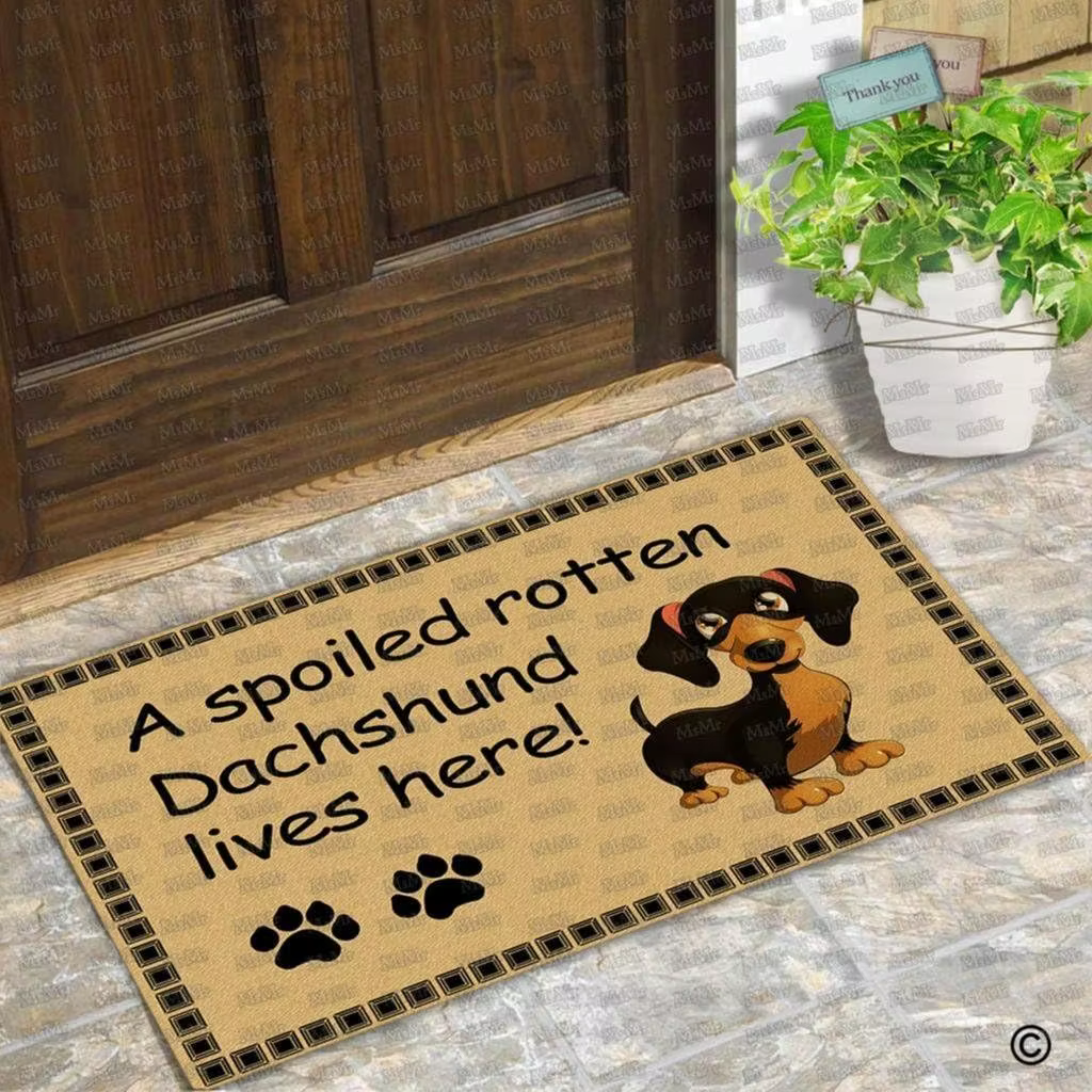 Paillasson d'entrée en caoutchouc antidérapant, tapis décoratif de Style Ins, pour porte de chien, u