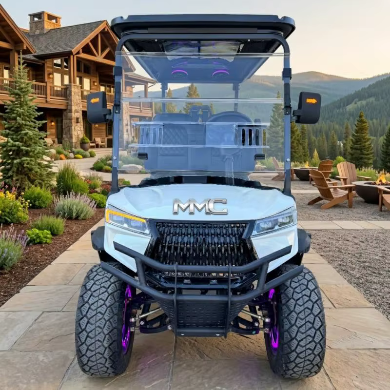 Voiturette de golf électrique tout-terrain sur mesure à 4 roues motrices avec éclairage LED d'ambiance