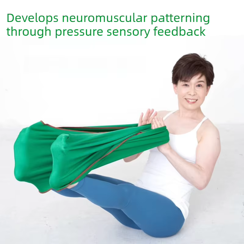 Bande de Résistance Professionnelle