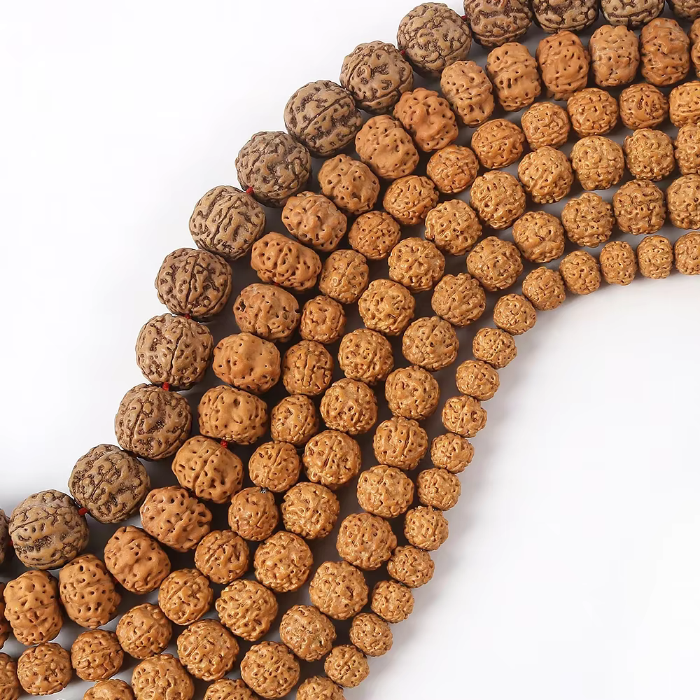Rudraksha Mala naturel 8/9/10/11/12/14mm