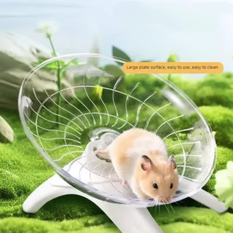 Roue motrice silencieuse pour petits animaux – Équipement d'exercice silencieux et sûr, idéal pour les Hamsters, les souris, les perroquets et autres petits animaux