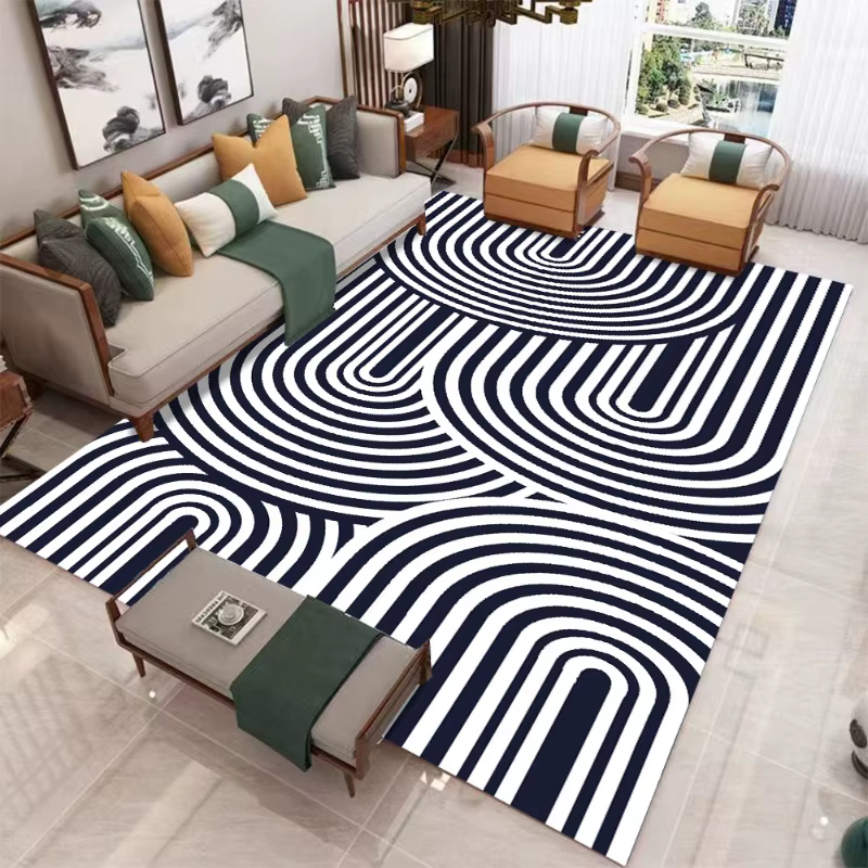 Tapis minimaliste moderne pour salon