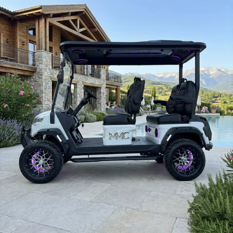 Voiturette de golf électrique tout-terrain sur mesure à 4 roues motrices avec éclairage LED d'ambiance