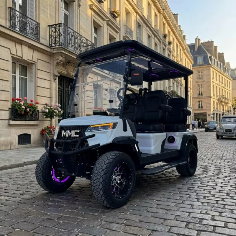 Voiturette de golf électrique tout-terrain sur mesure à 4 roues motrices avec éclairage LED d'ambiance