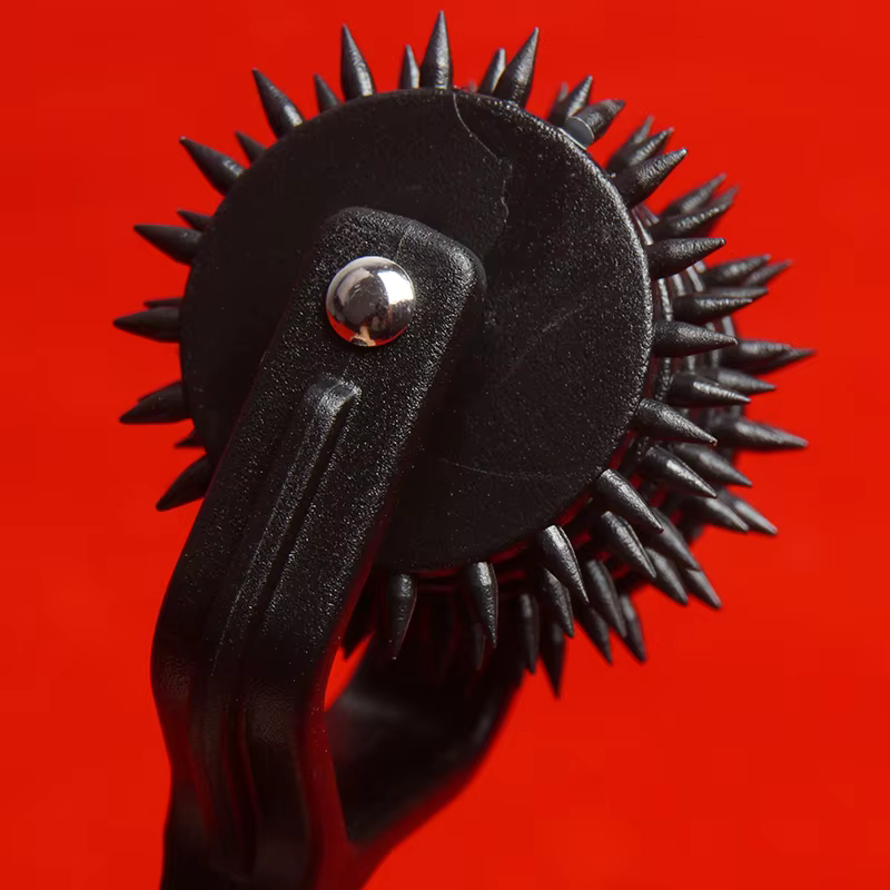 BDSM Wartenberg Pinwheel Spiky Wheel Tickler pour nerf sensoriel et jeu médical, jouets sexuels pour couples, jeux pour adultes