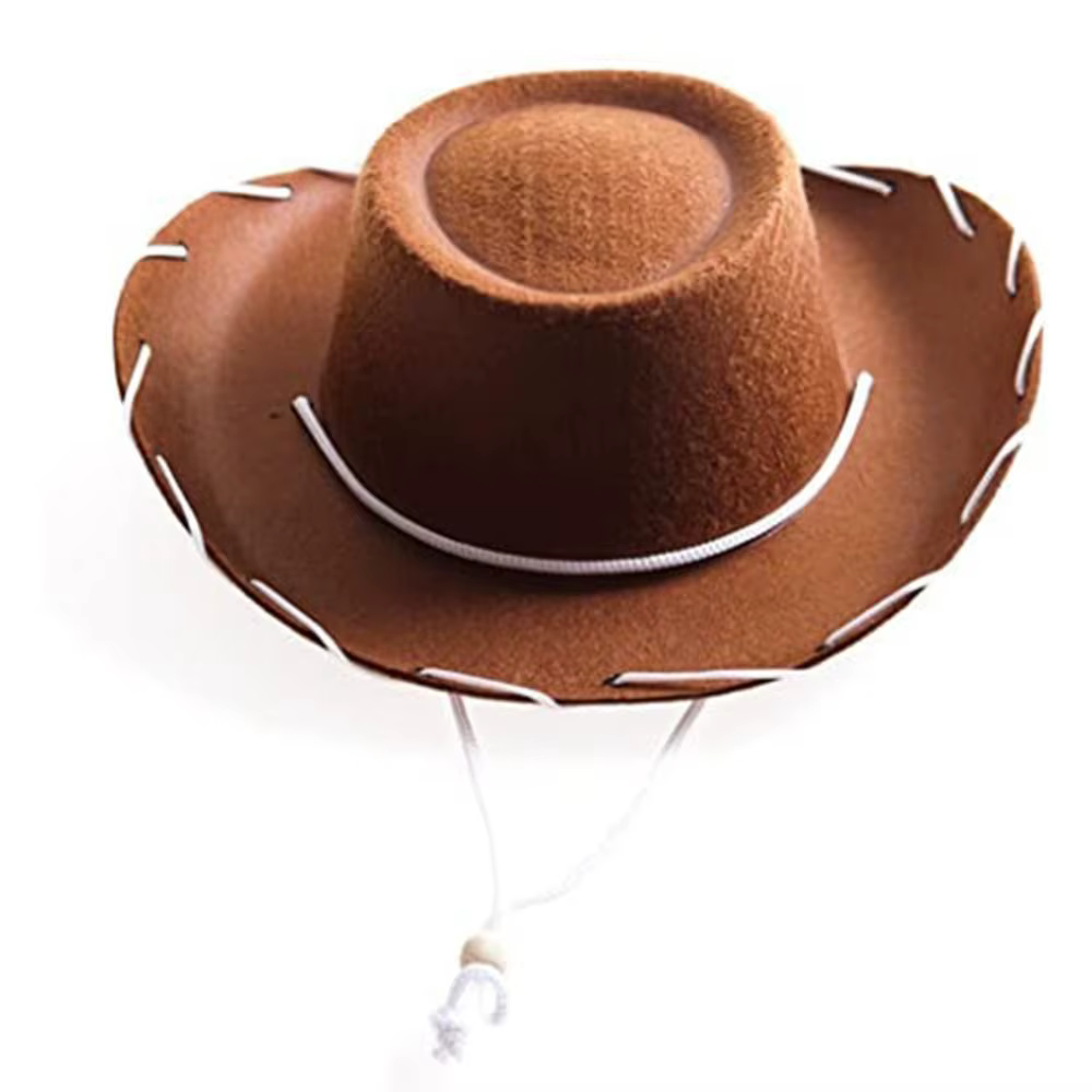 Chapeau de cowgirl en feutre réglable pour femme, accessoire de mode, idéal pour cosplay, performance, déguisement ou comme chapeau de princesse.