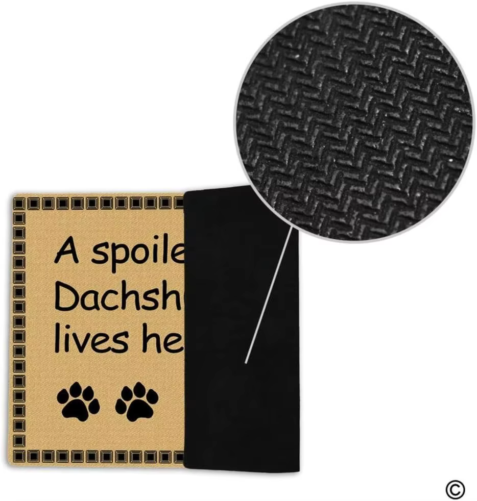 Paillasson d'entrée en caoutchouc antidérapant, tapis décoratif de Style Ins, pour porte de chien, un teckel mortux, vit ici